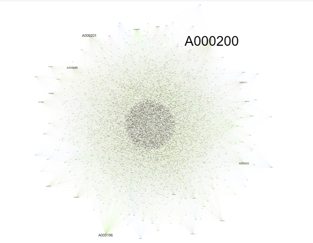 Network graph of Entity-Entity relations in latest edition of EOAS